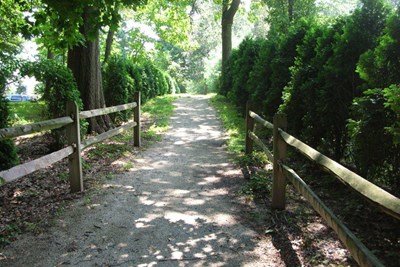 Sidewalks & Trails Plan