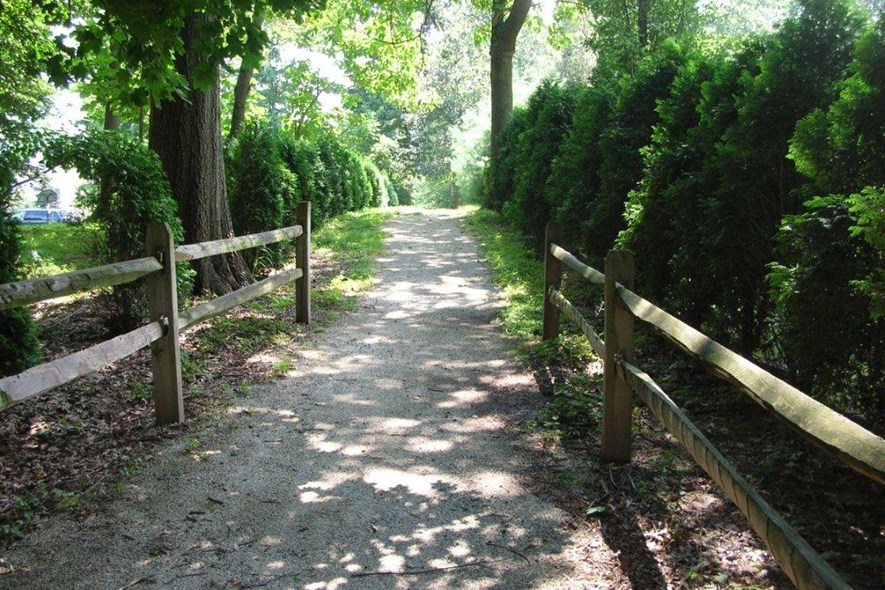 Draft Sidewalks & Trails Strategic Plan Feedback