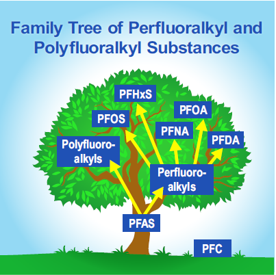 PFAS Familytree
