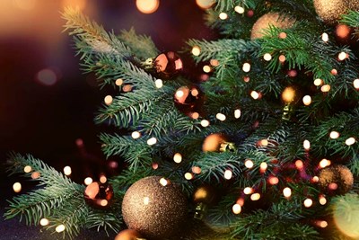 Curbside Christmas Tree Recycling This Saturday