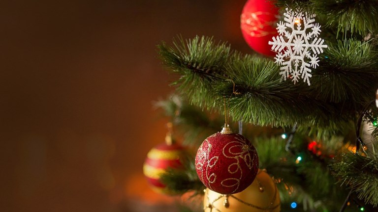 December e-Newsletter Now Available!