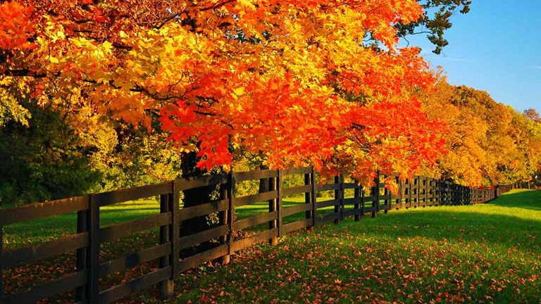 November e-Newsletter Now Available!