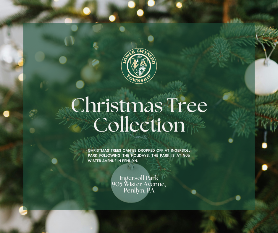 Christmas Tree Collection