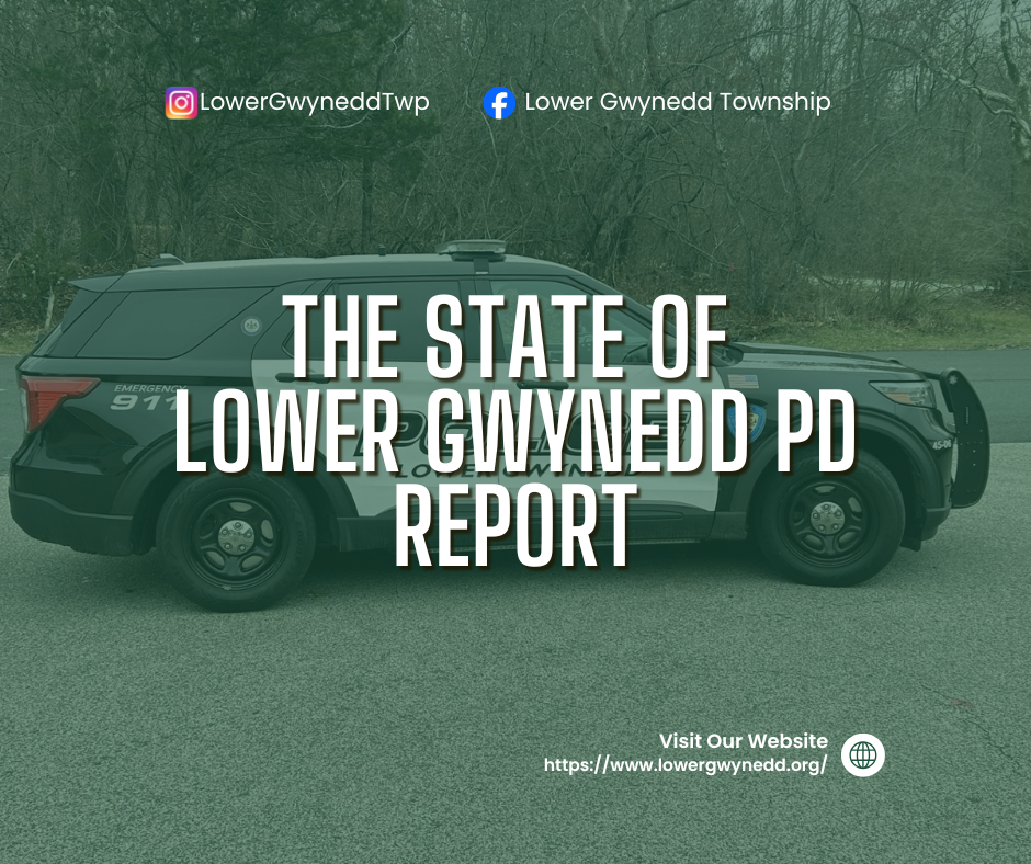 The State of Lower Gwynedd PD Report
