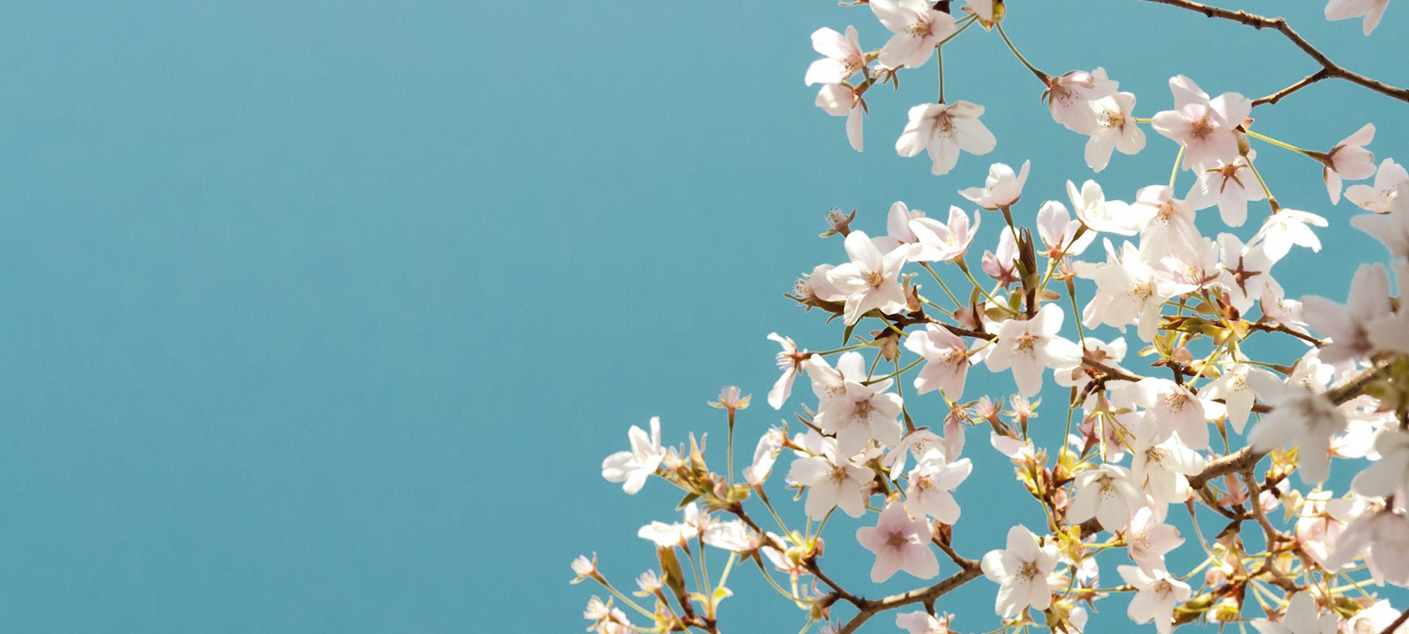 Upcoming Township Discussions