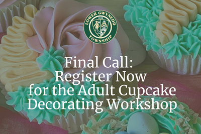 Final Call: Register Now for the Adult Cupcake Decorating Workshop